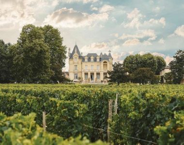 Bordeaux wine: demystifying France's most legendary wine region